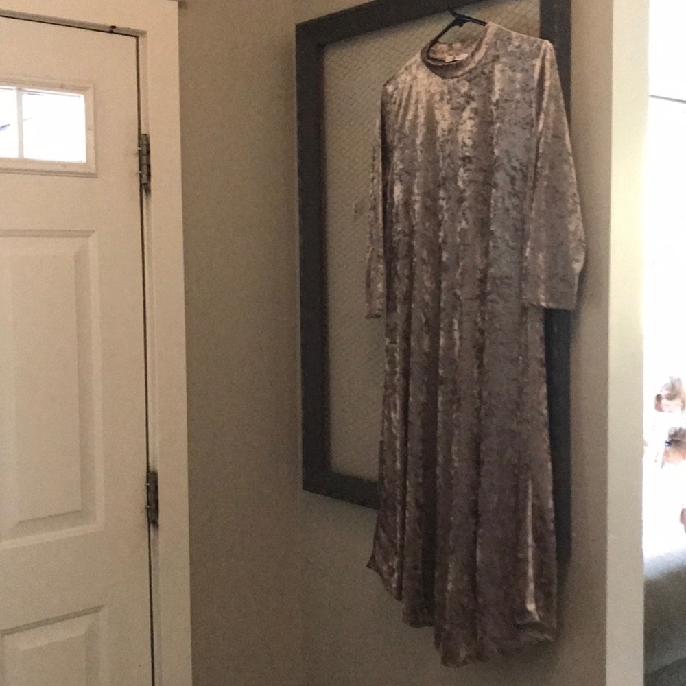 A beautiful mauve velour dress.